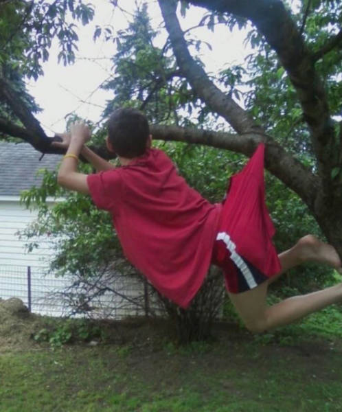 Morning Picdump