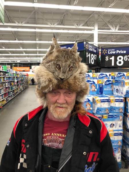 Content Image
