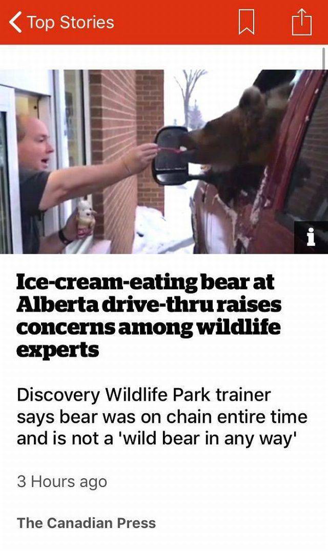 Content Image