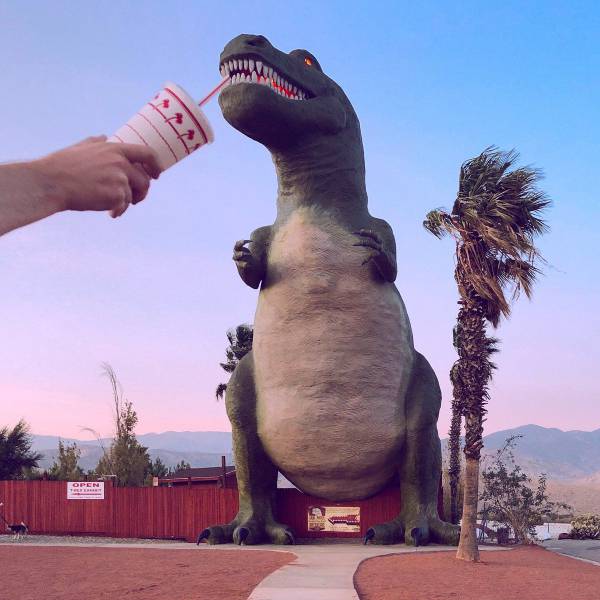 Daily Picdump