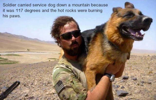 Daily Picdump [WEEKEND EDITION]