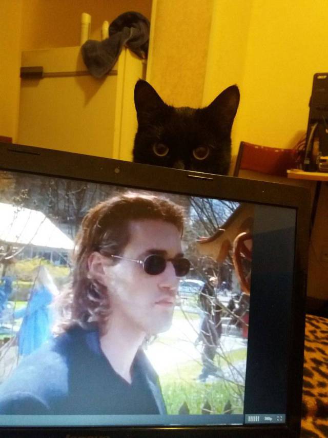 Content Image