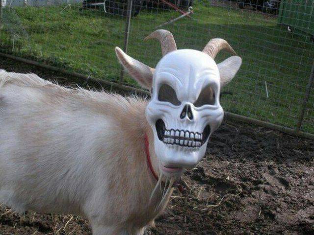 Daily Picdump