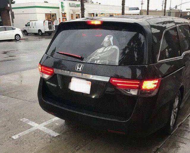 Daily Picdump