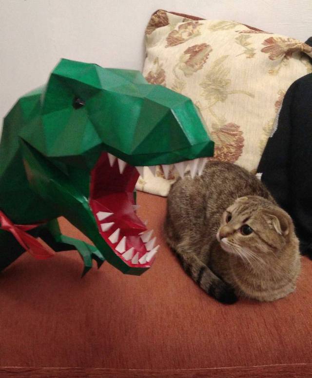 Daily Picdump