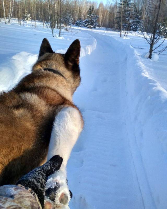 Daily Picdump