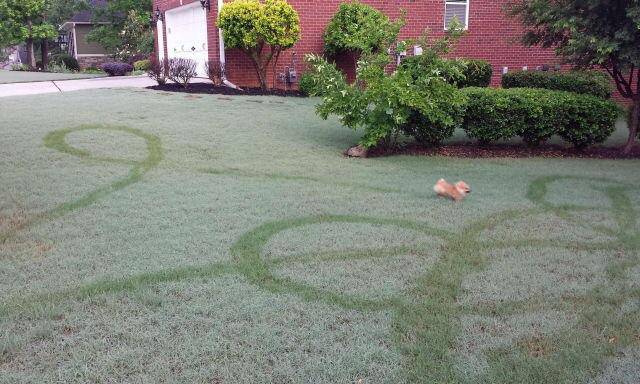 Morning Picdump