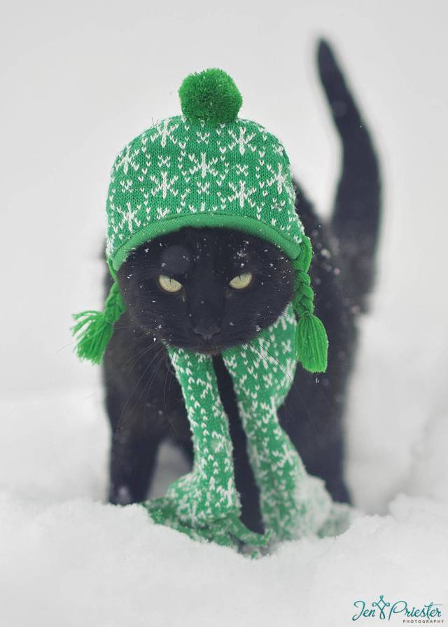 Morning Picdump