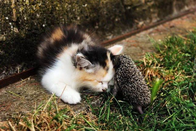 Daily Picdump