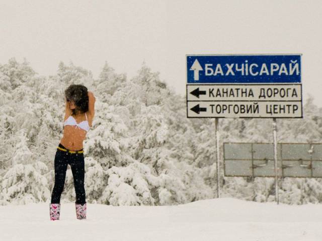 Daily Picdump