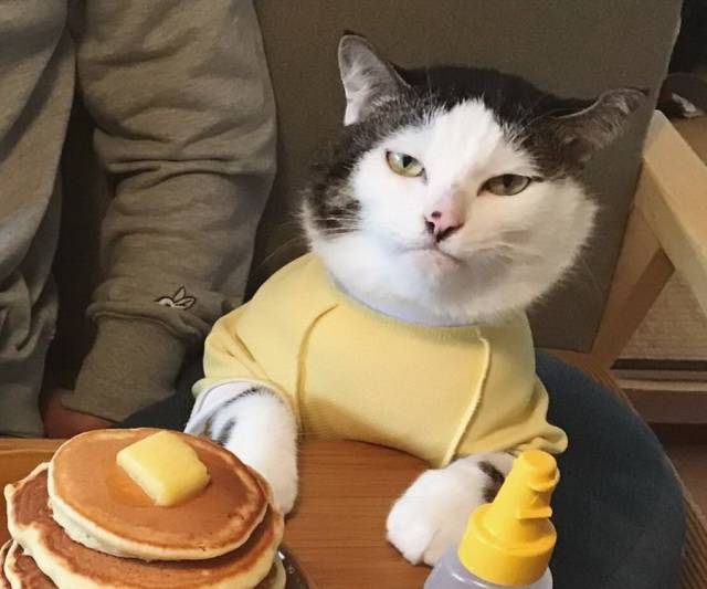 Content Image