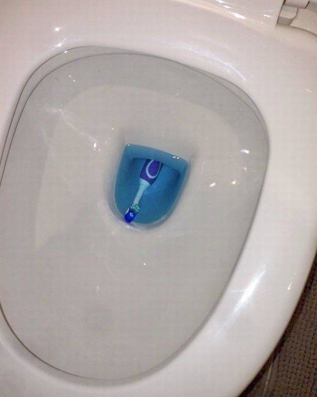 Daily Picdump