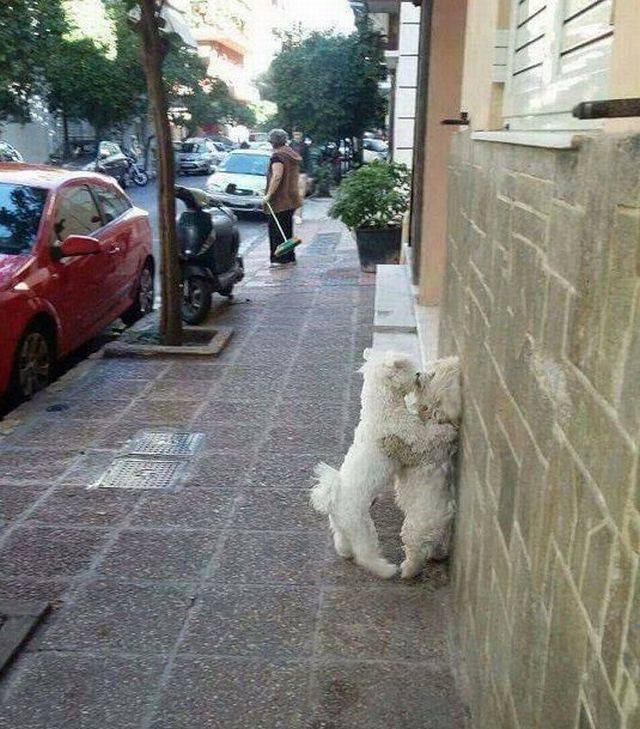 Daily Picdump
