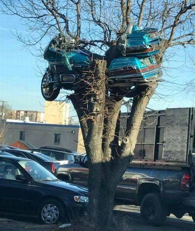 Content Image