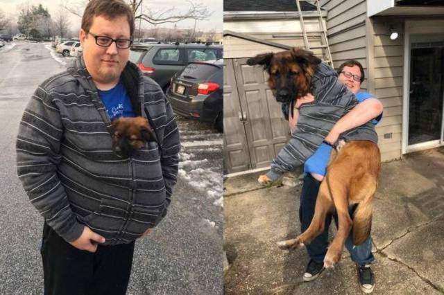 Content Image