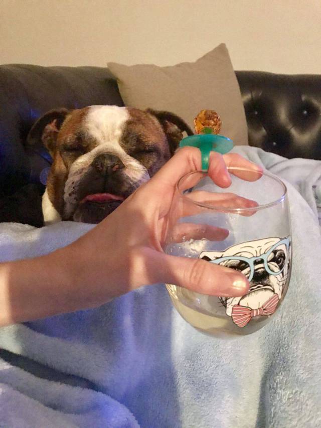 Daily Picdump