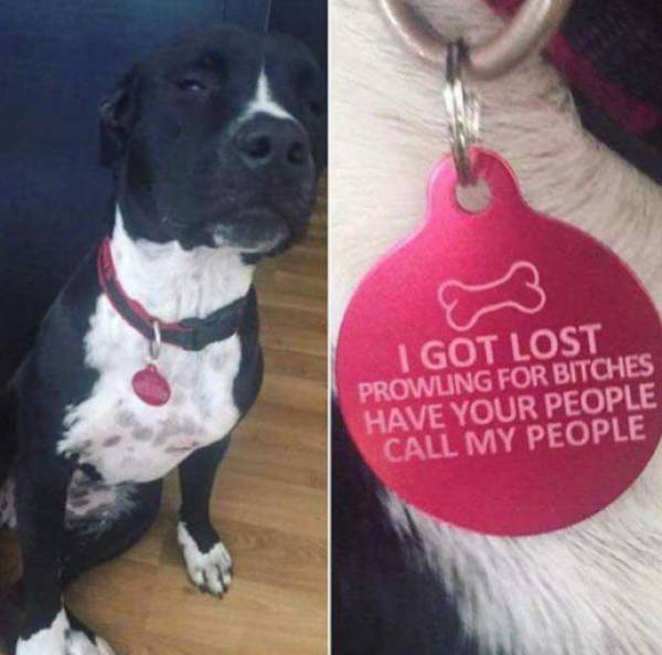 Morning Picdump