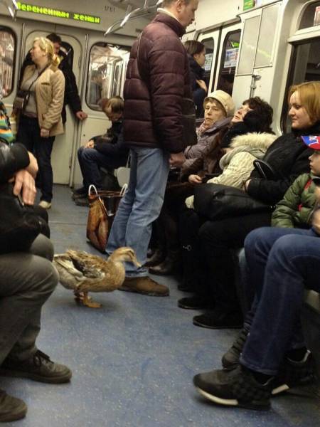 Morning Picdump