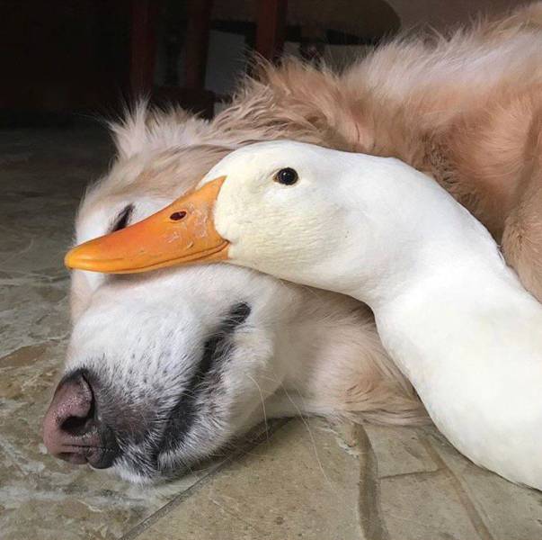 Daily Picdump