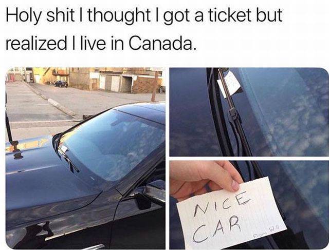 Daily Picdump