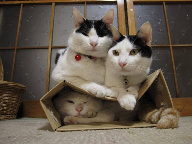 Daily Picdump