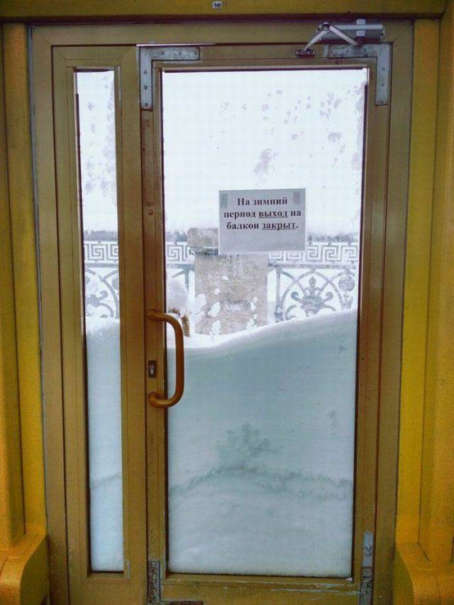 Content Image