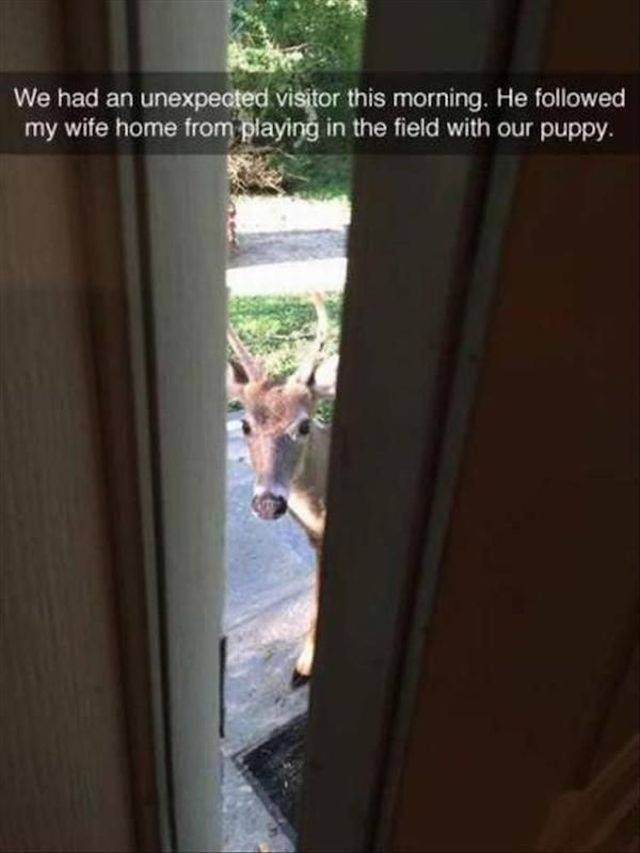 Content Image