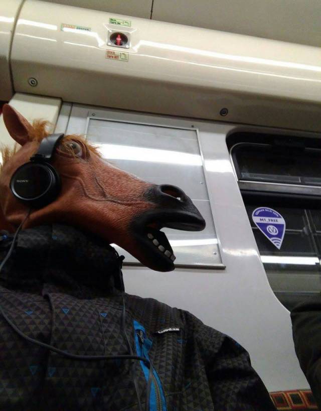 Content Image