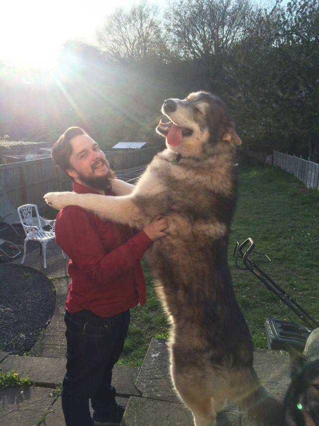 Content Image