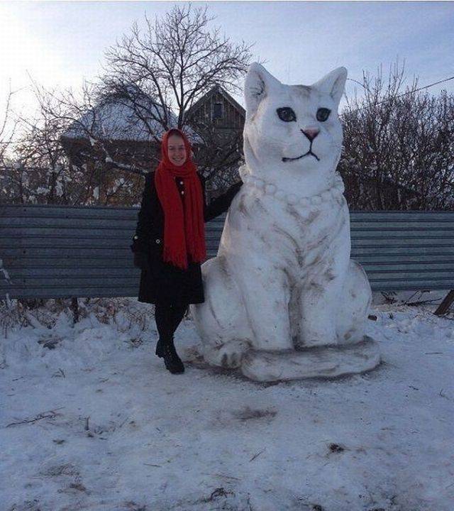 Content Image