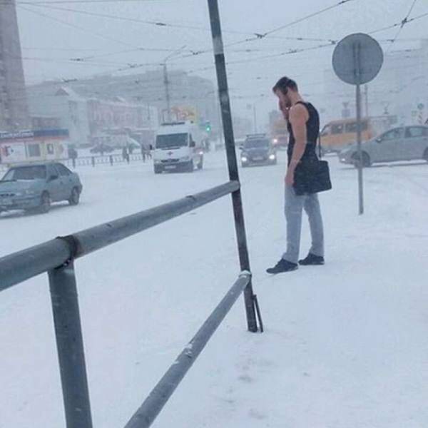 Daily Picdump