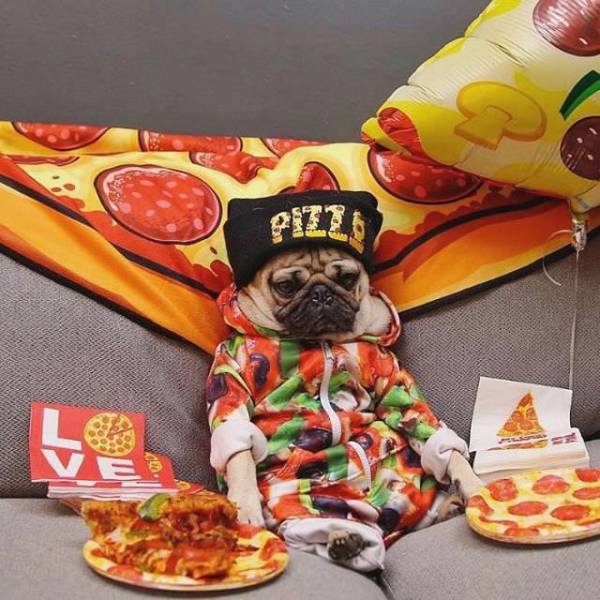 Daily Picdump