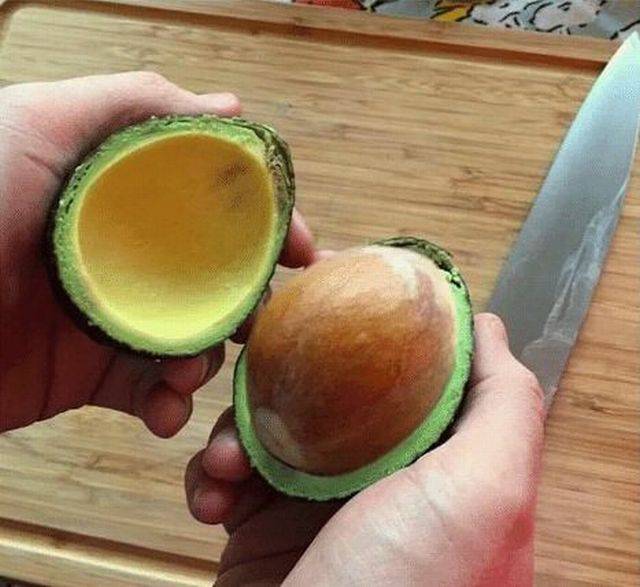 Content Image