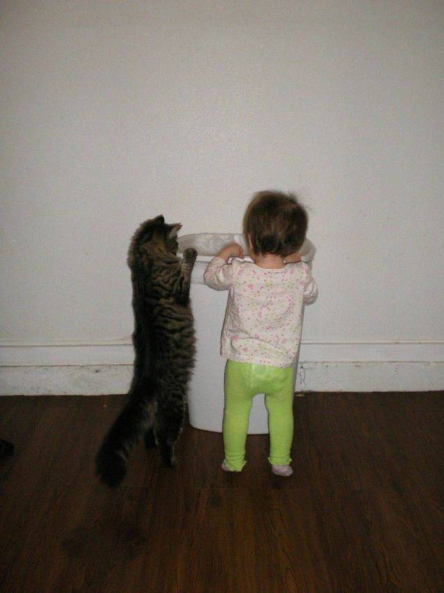 Daily Picdump