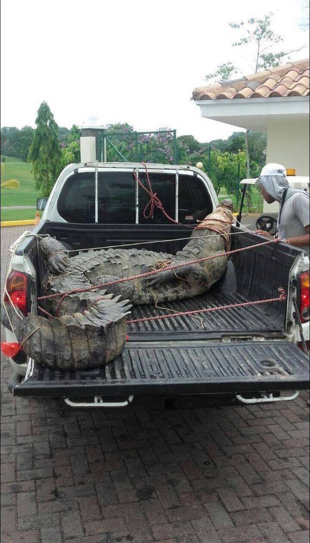 Daily Picdump