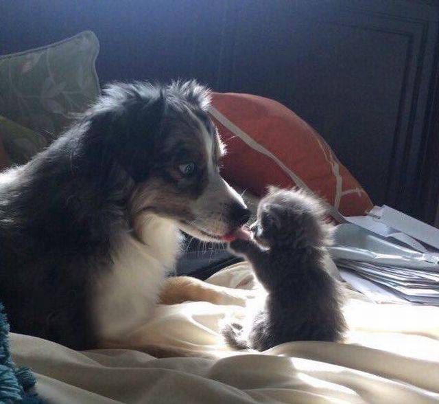 Daily Picdump