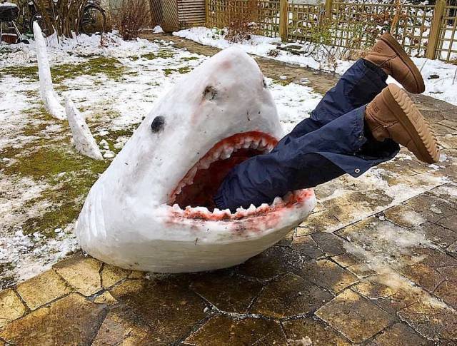 Content Image