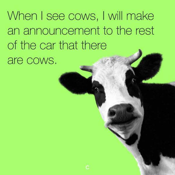 Funny Picdump