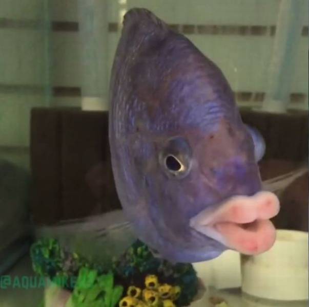 Daily Picdump