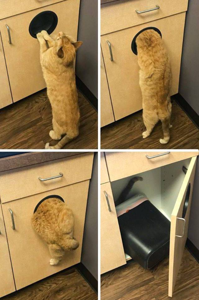 Daily Picdump
