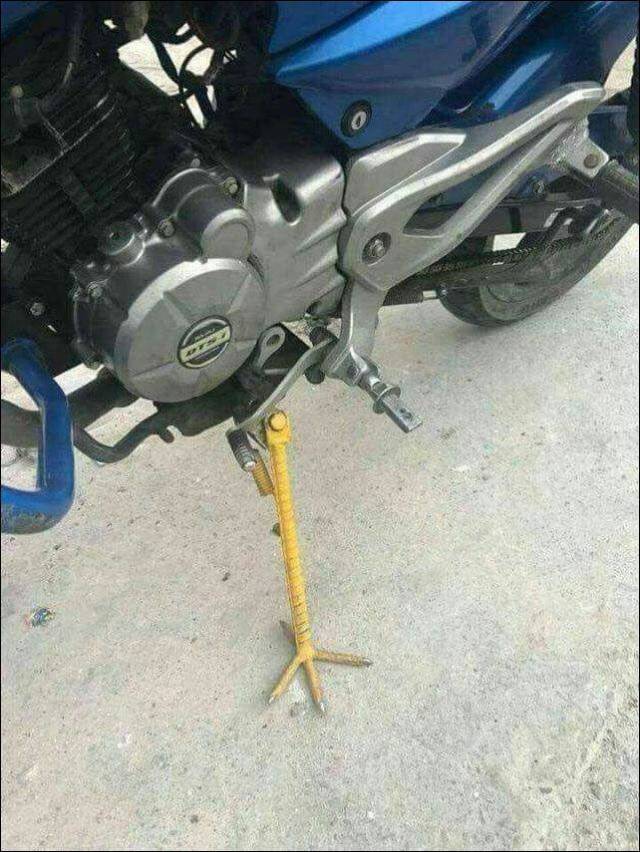 Daily Picdump
