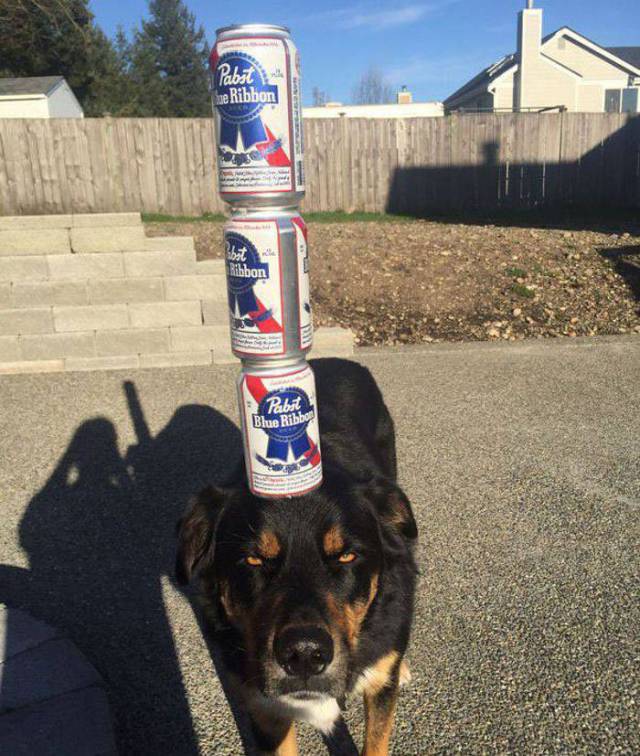 Content Image