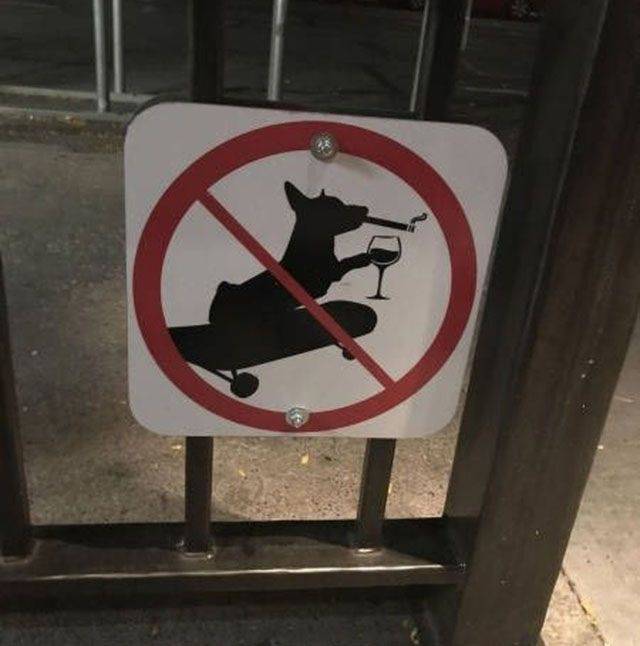 Content Image