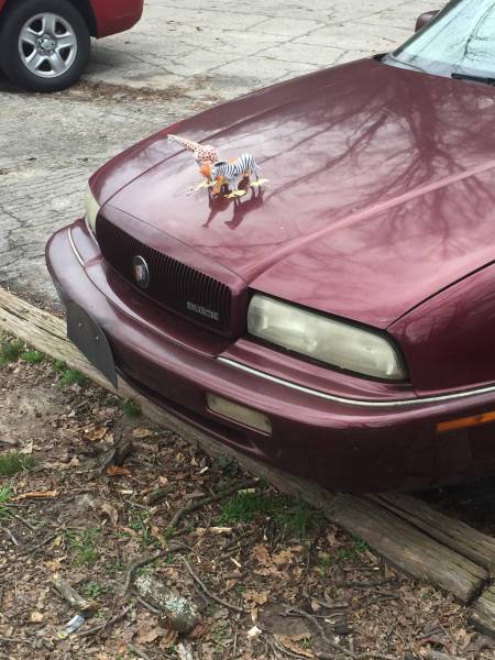 Morning Picdump