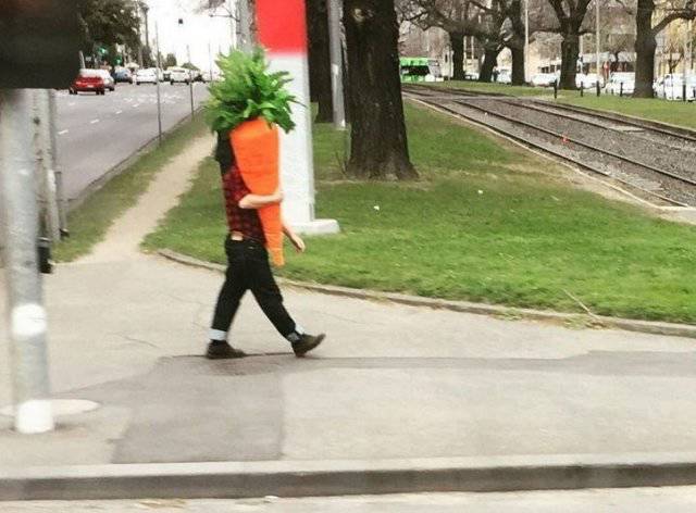 Morning Picdump