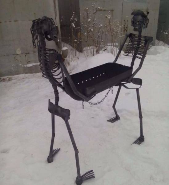 Morning Picdump