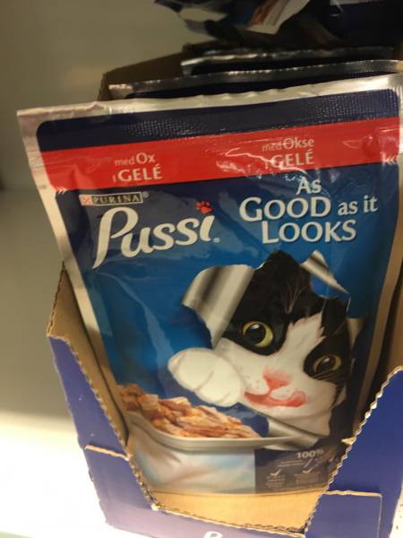 Content Image