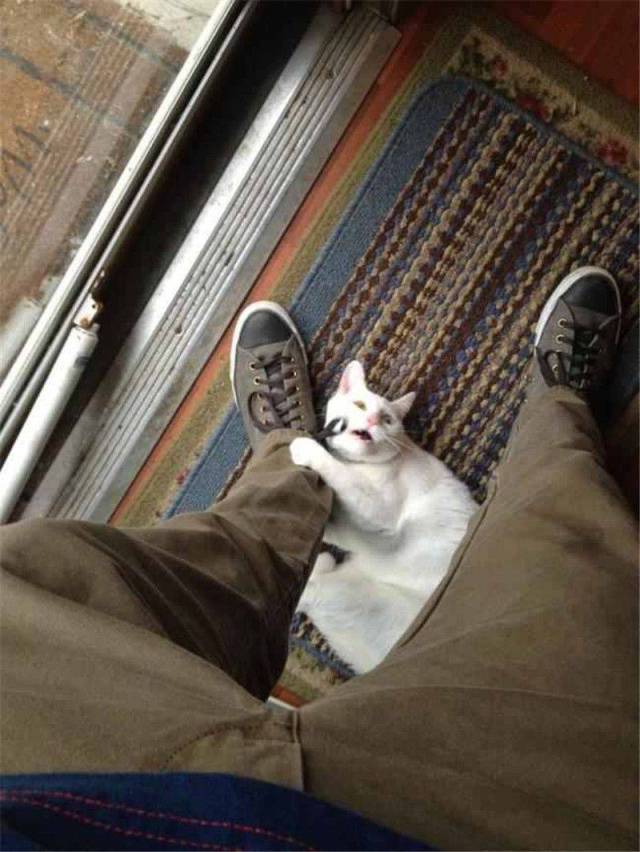Daily Picdump