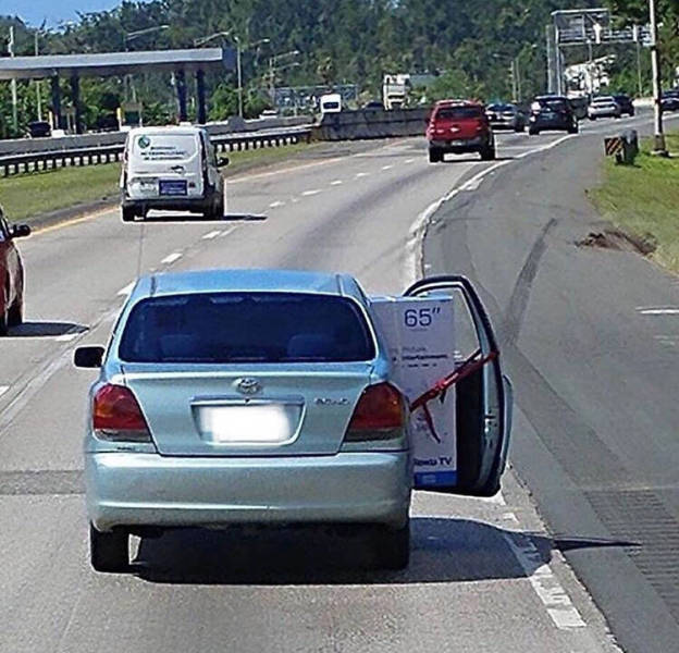 Morning Picdump