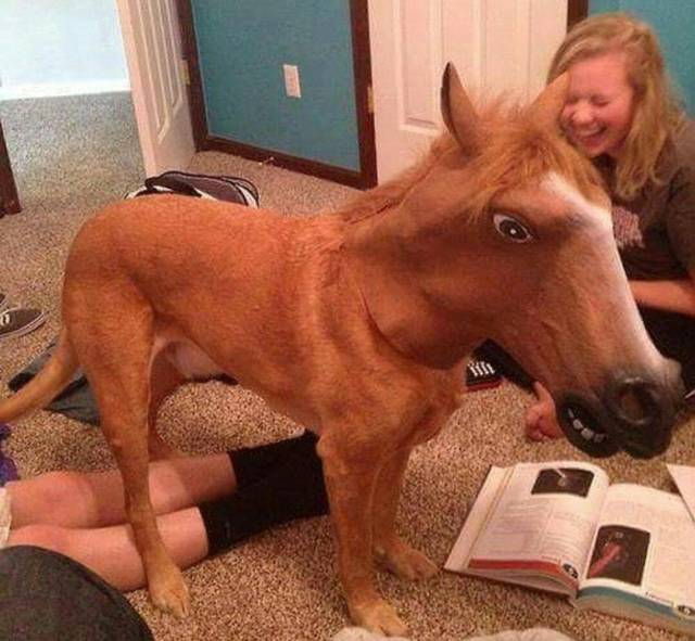 Content Image